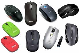 Mouse